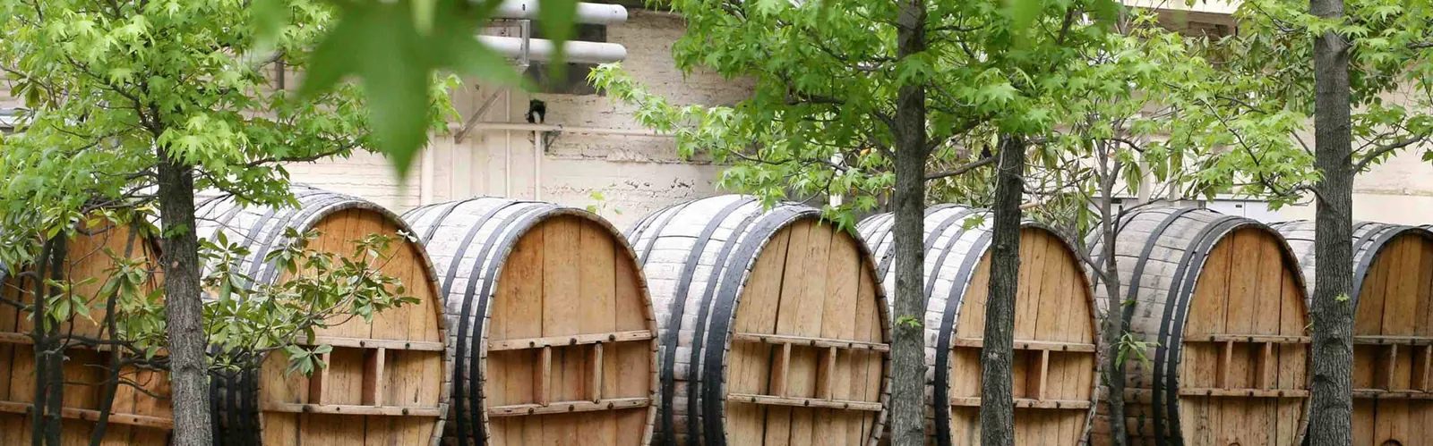 Viña Concha y Toro: Pirque · valle del Maipo