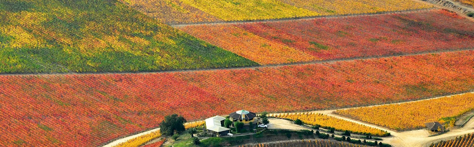 Santa Cruz y valle de Colchagua: Santa Cruz · valle de Colchagua