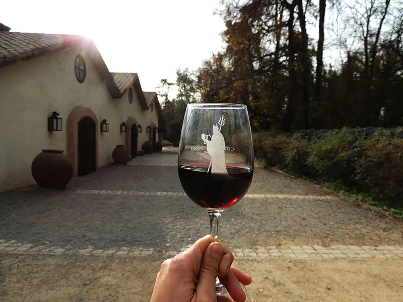 Viña Concha y Toro, foto 3