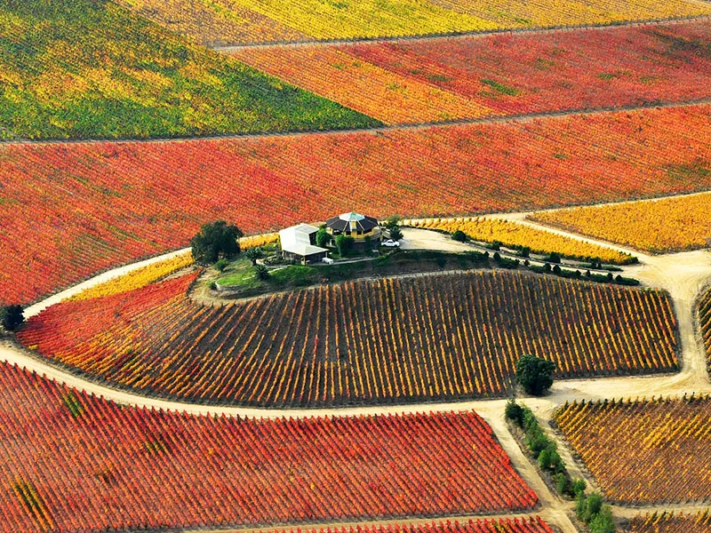 Santa Cruz y valle de Colchagua, foto 2